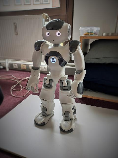 Nao, den Bücherhallen-Roboter 